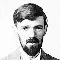 D. H. Lawrence